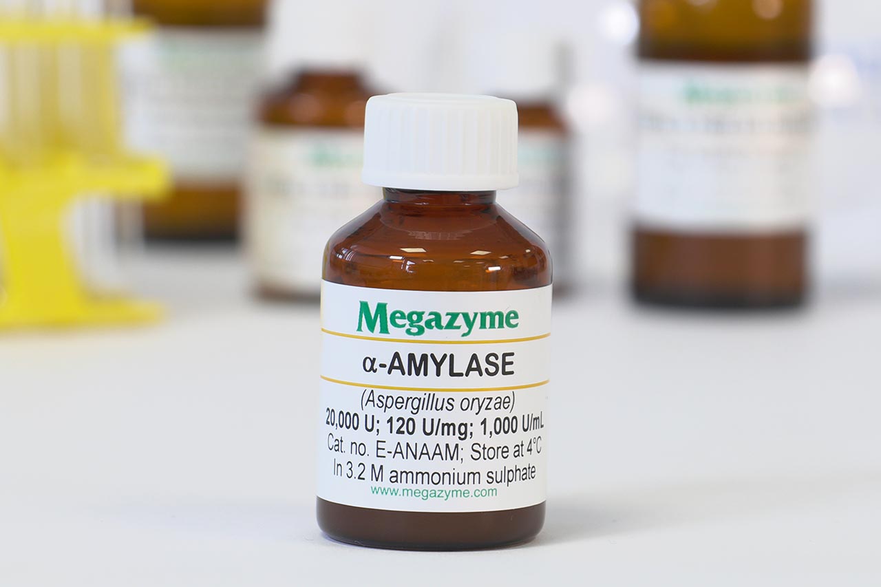 Alpha-Amylase (Aspergillus oryzae) (E-ANAAM) Alpha-Amylase (Aspergillus oryzae) (E-ANAAM)