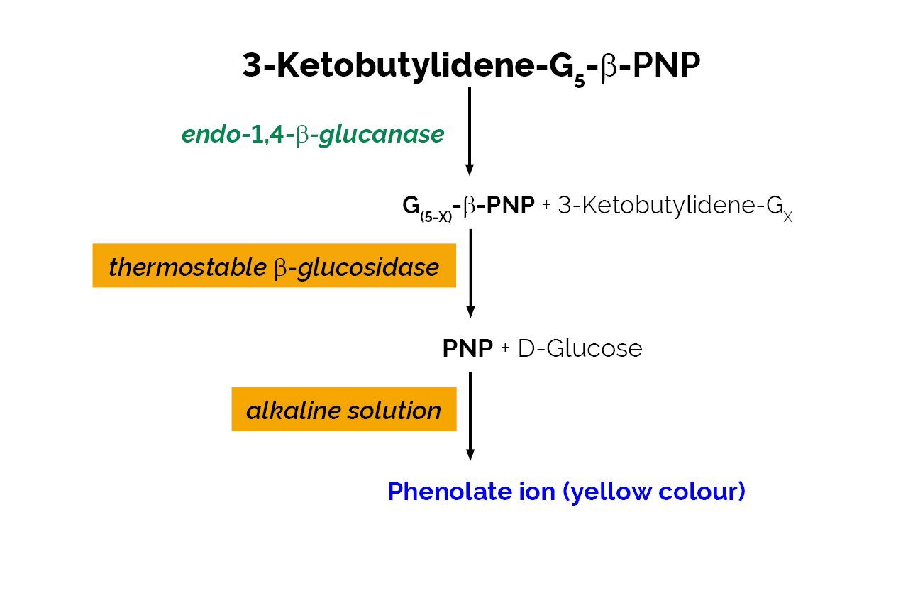 Cellulase Assay Kit (CellG5 Method) (K-CellG5) Scheme
