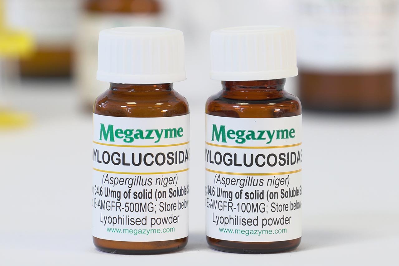 Amyloglucosidase (Aspergillus niger) (E-AMGFR) Amyloglucosidase (Aspergillus niger) (E-AMGFR)