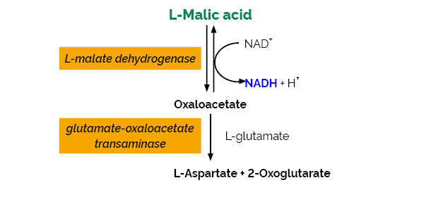 Scheme-K-LMAL-116A LMAL Megazyme