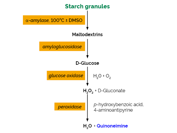 Scheme-K-TSTA-100A TSTA Megazyme