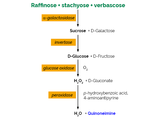 Scheme-K-RAFGL RAFGL Megazyme