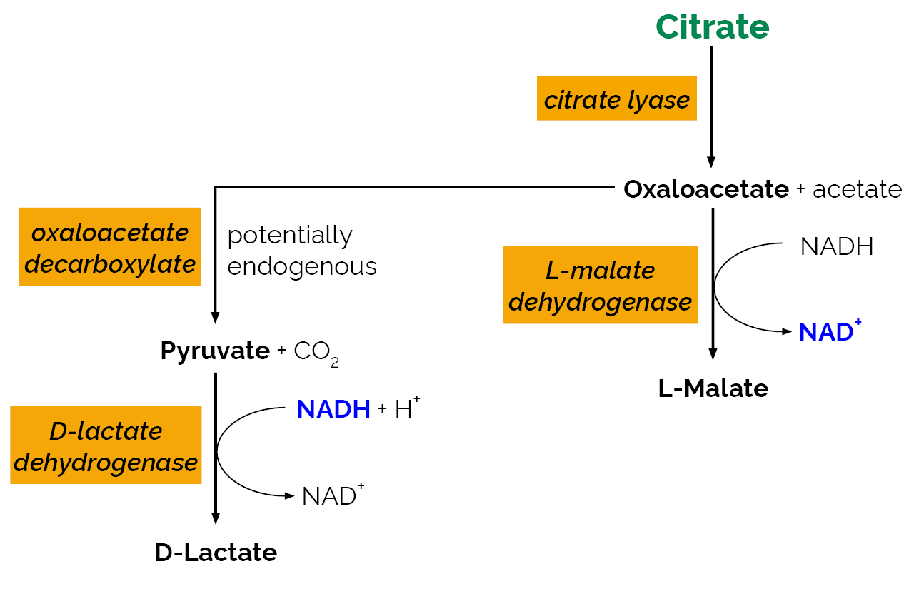Citric Acid Assay Kit (K-CITR) Scheme