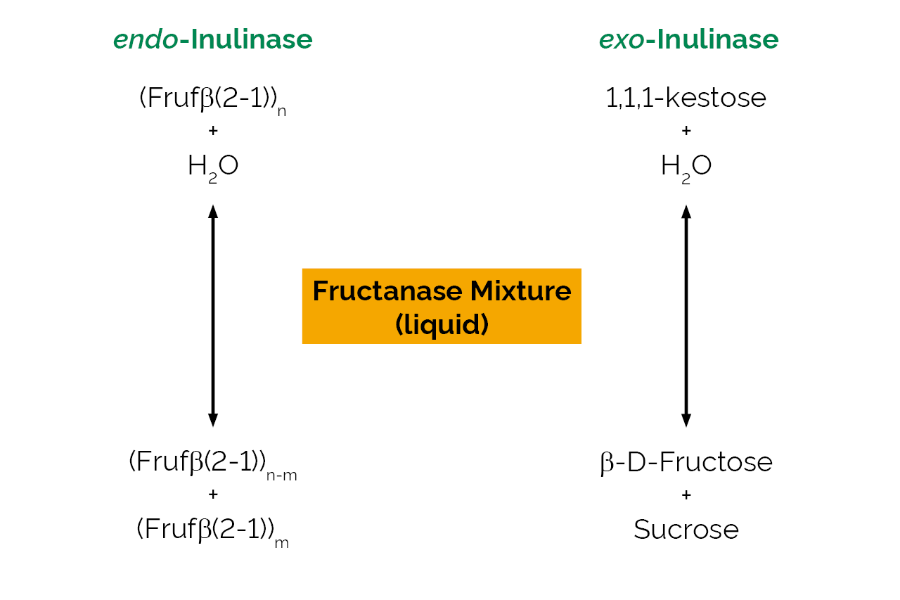 Fructanase Mixture (liquid) (E-FRMXLQ) Scheme
