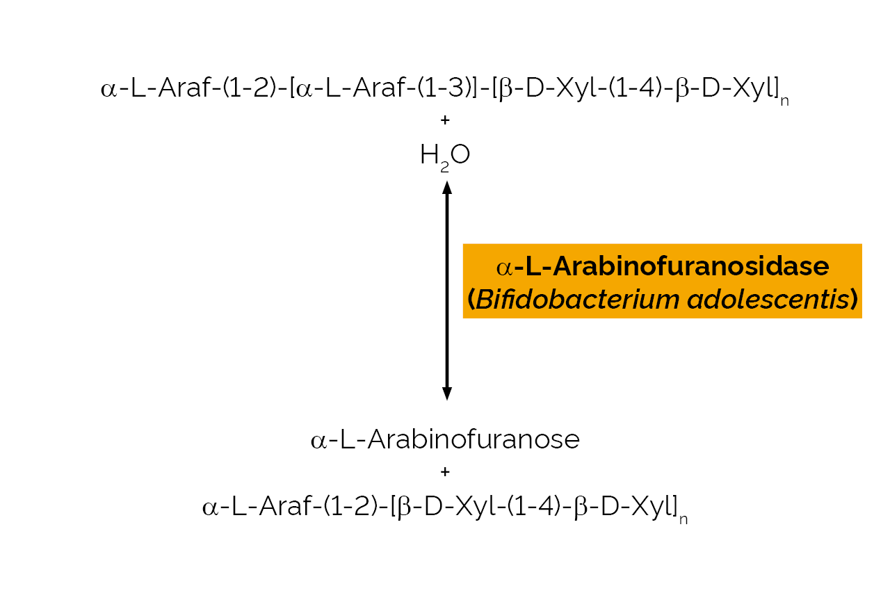 Alpha-L-Arabinofuranosidase (Bifidobacterium adolescentis) (E-AFAM2) Scheme Alpha-L-Arabinofuranosidase (Bifidobacterium adolescentis) (E-AFAM2) Scheme