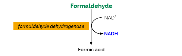 Scheme-K-FRHYD FRHYD Megazyme