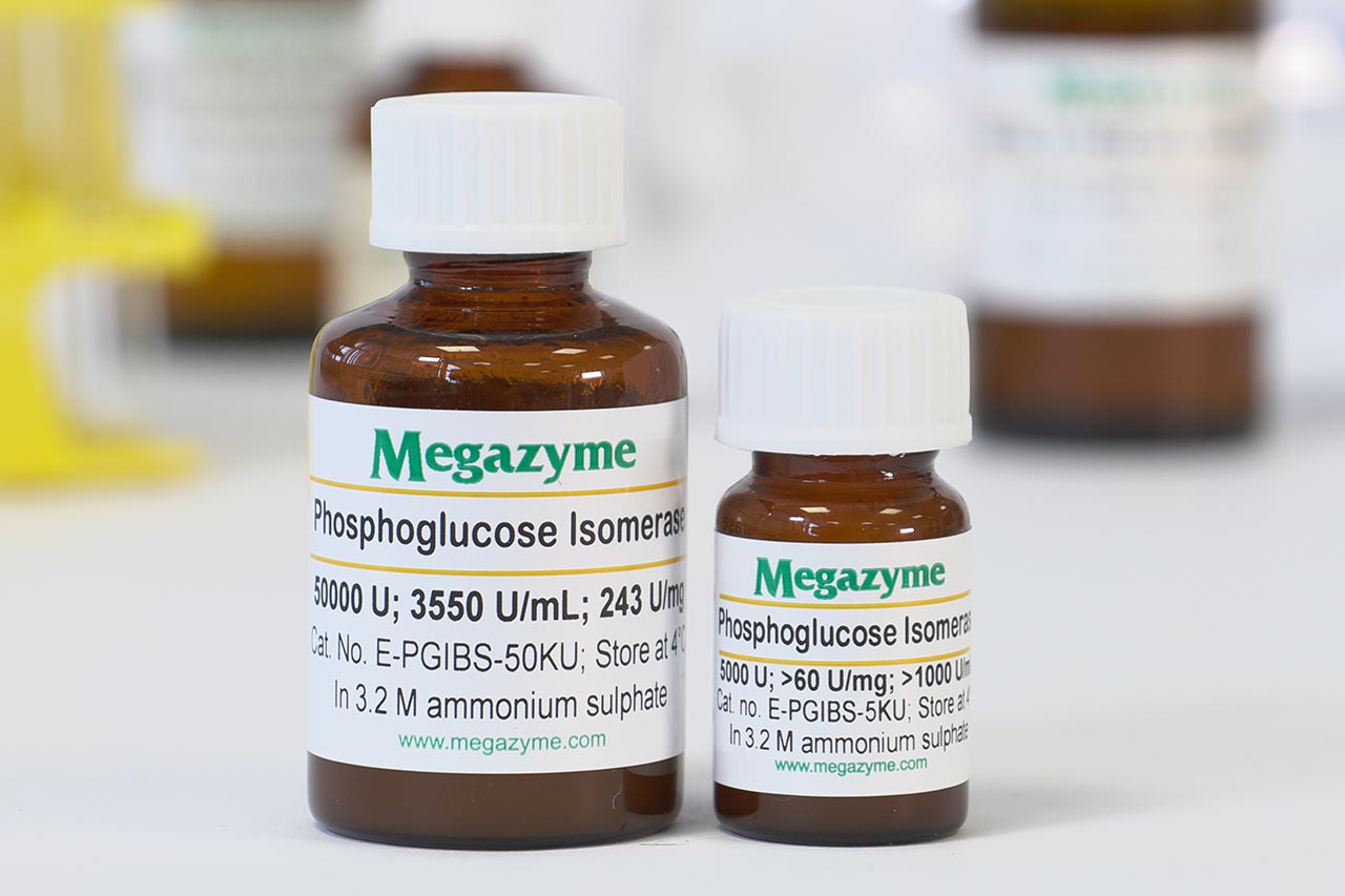 Phosphoglucose isomerase (Bacillus subtilis) (E-PGIBS) Phosphoglucose isomerase (Bacillus subtilis) (E-PGIBS)
