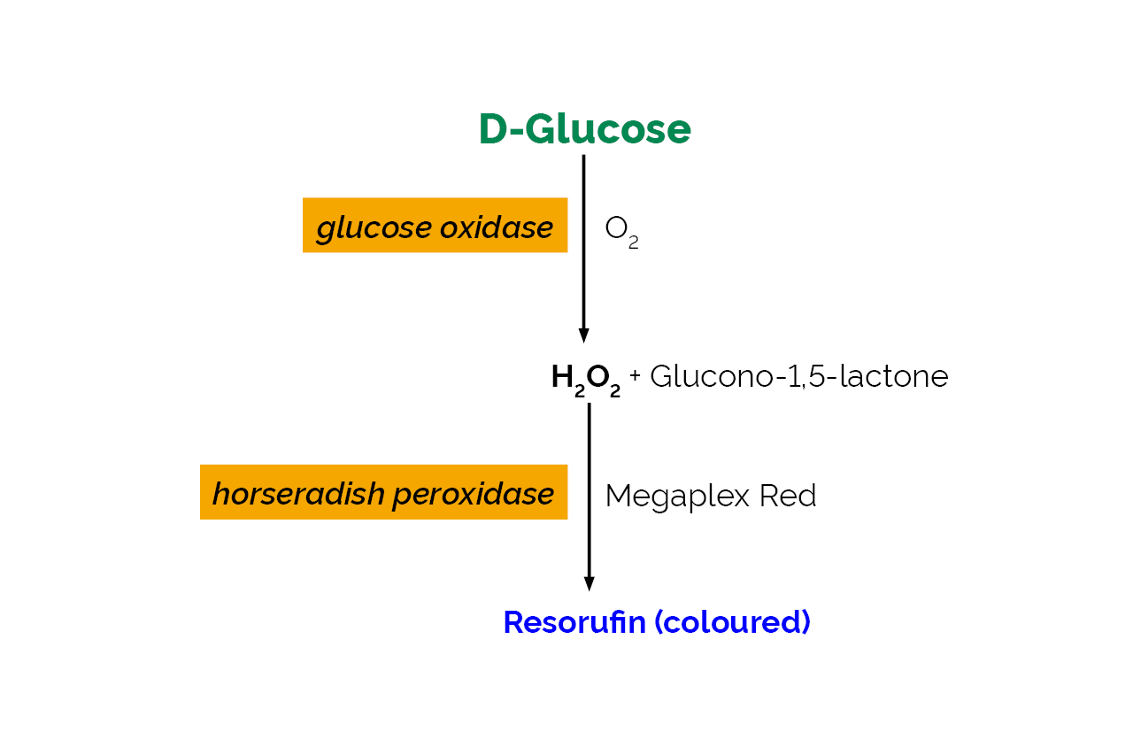 D-Glucose Assay Kit Assay Kit (Megaplex Red) (K-MRGLUC) Scheme D-Glucose Assay Kit Assay Kit (Megaplex Red) (K-MRGLUC) Scheme