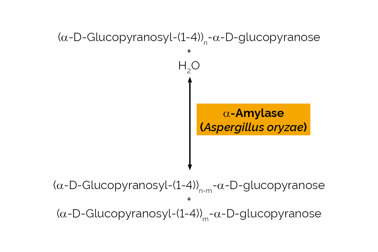 Alpha-Amylase (Aspergillus oryzae) (E-ANAAM) Scheme