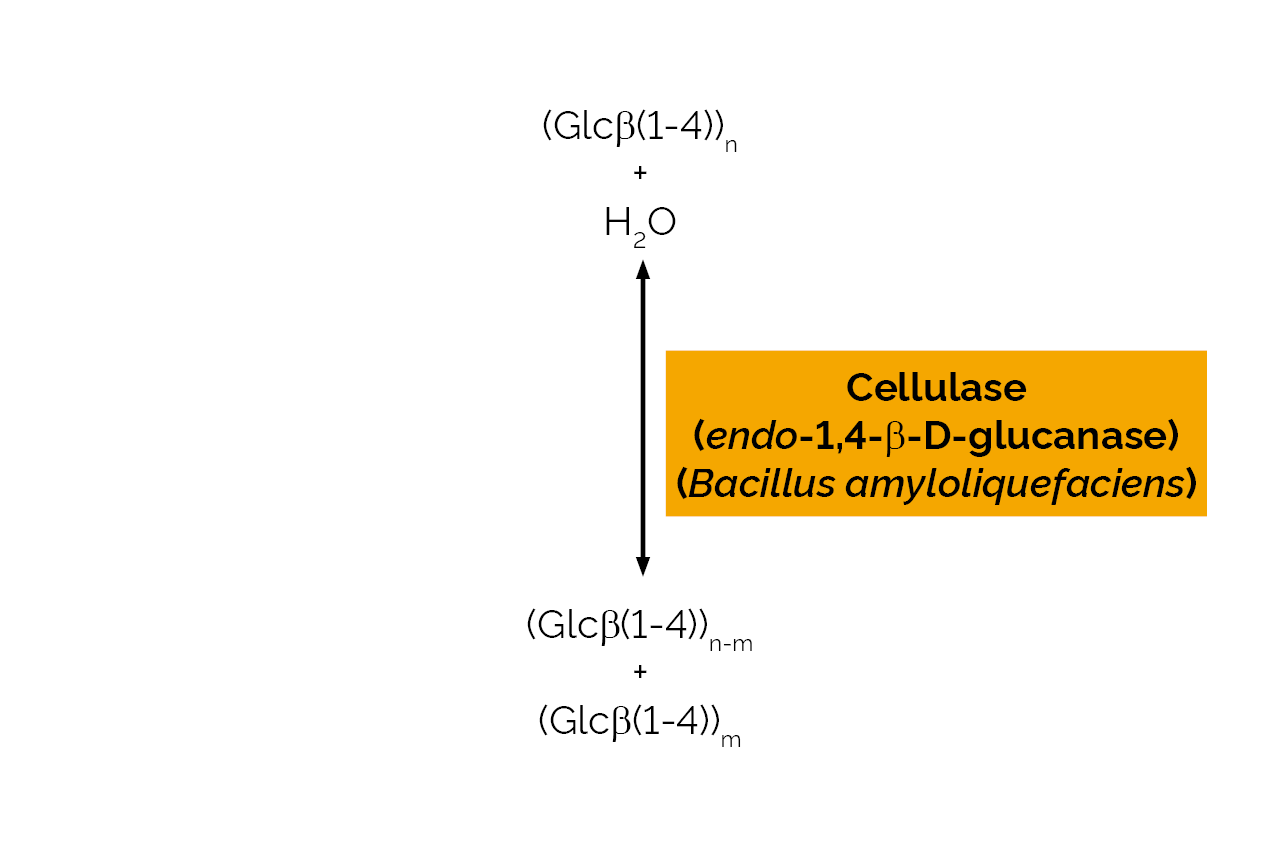 Cellulase (endo-1,4-beta-D-glucanase) (Bacillus amyloliquefaciens) (E-CELBA) Scheme