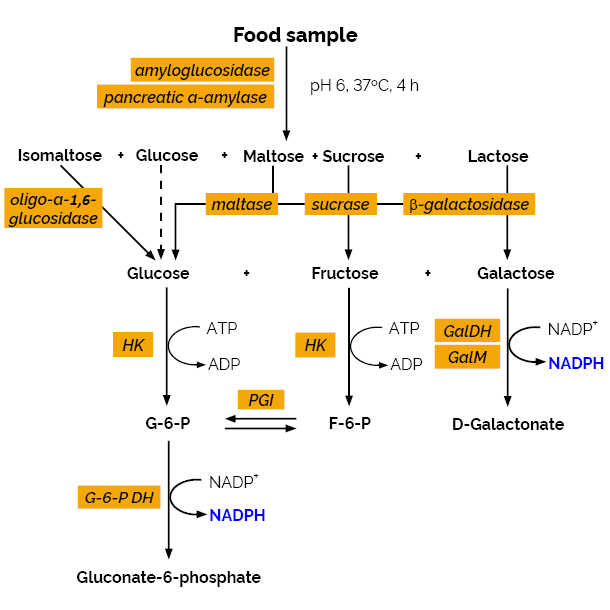 Scheme-K-AVCHO AVCHO Megazyme