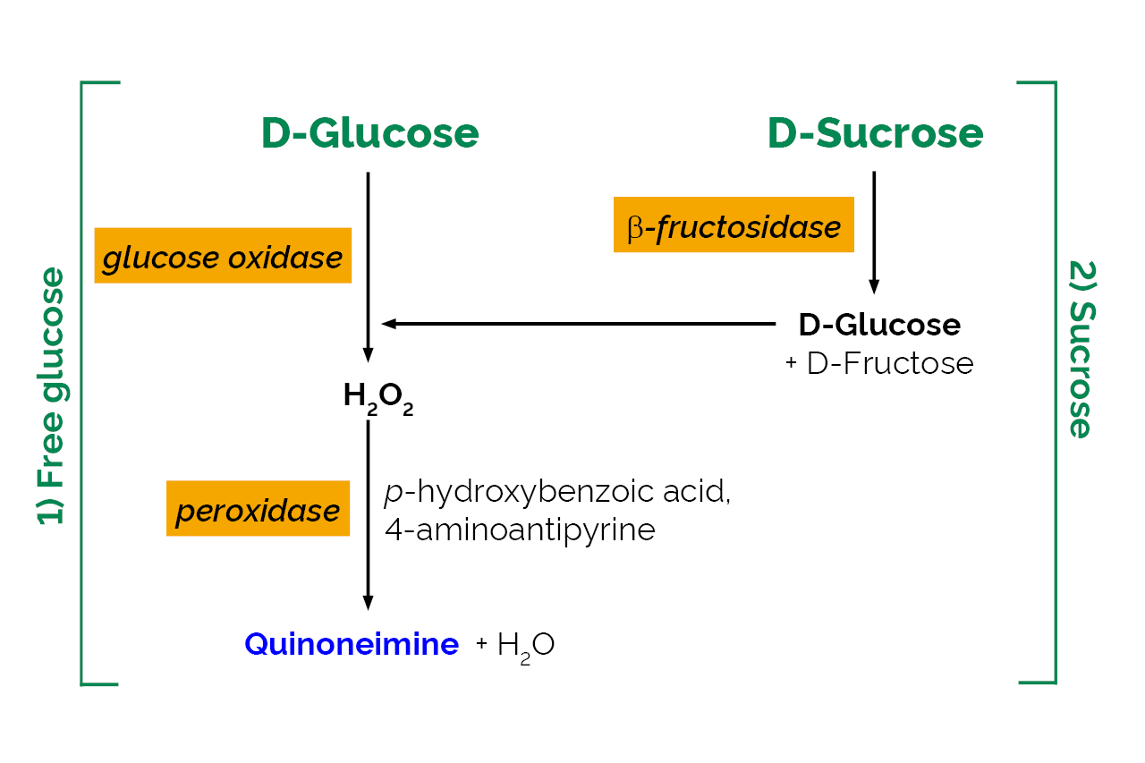 Sucrose/D-Glucose Assay Kit (K-SUCGL) Scheme Sucrose/D-Glucose Assay Kit (K-SUCGL) Scheme