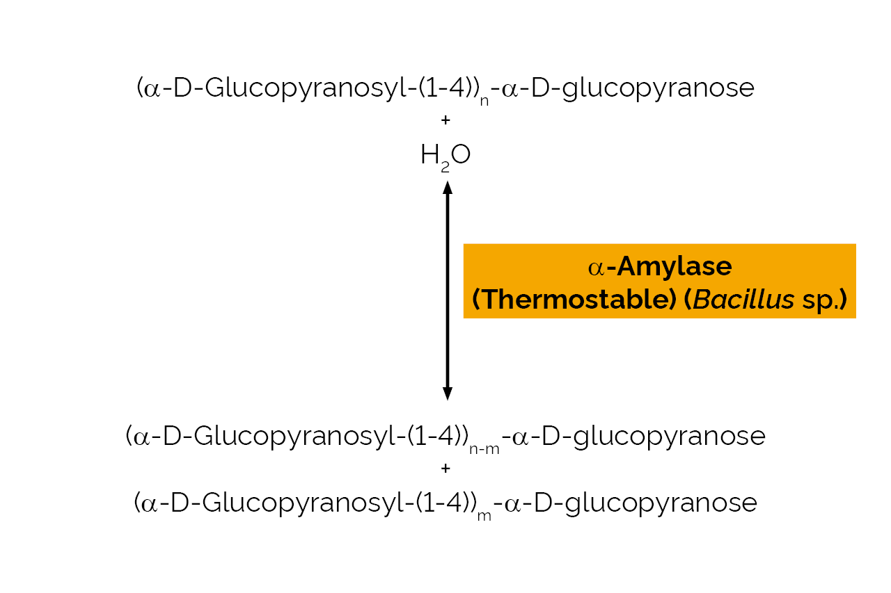 Alpha-Amylase (Thermostable) (Bacillus sp) (E-BSTAA) Scheme Alpha-Amylase (Thermostable) (Bacillus sp) (E-BSTAA) Scheme