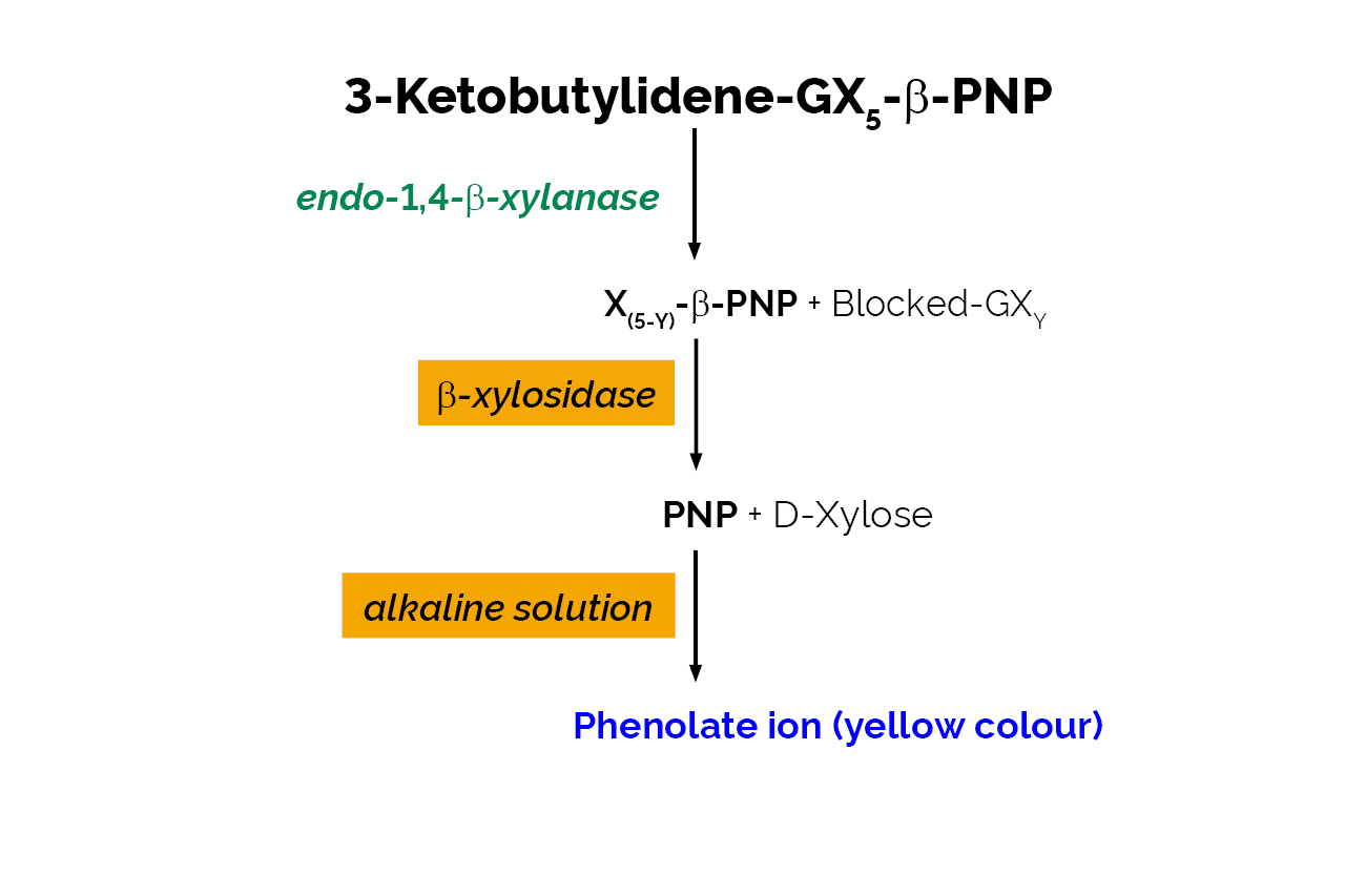 Xylanase Assay Kit (XylX6 Method) (K-XylX6) Scheme Xylanase Assay Kit (XylX6 Method) (K-XylX6) Scheme