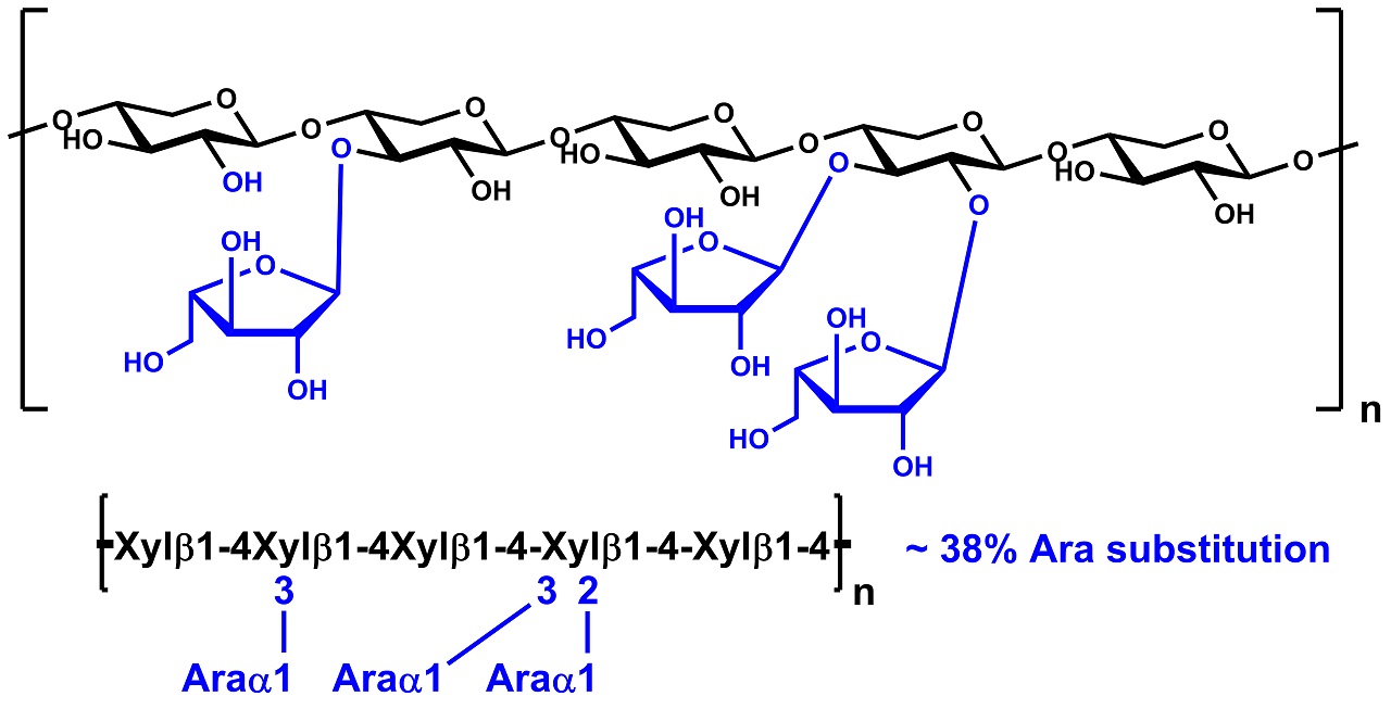 Arabinoxylan (Rye Flour) (P-RAXY)