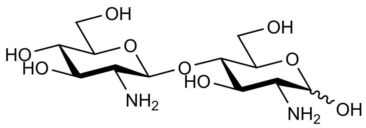 Chitosanbiose (O-CHIS2)