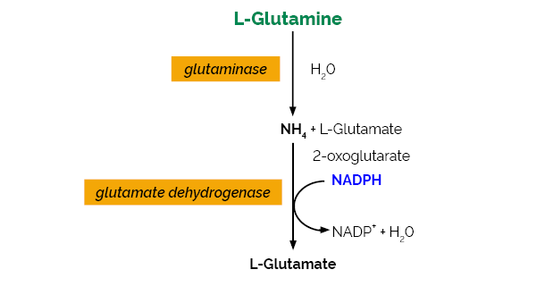 Scheme-K-GLNAM GLNAM Megazyme