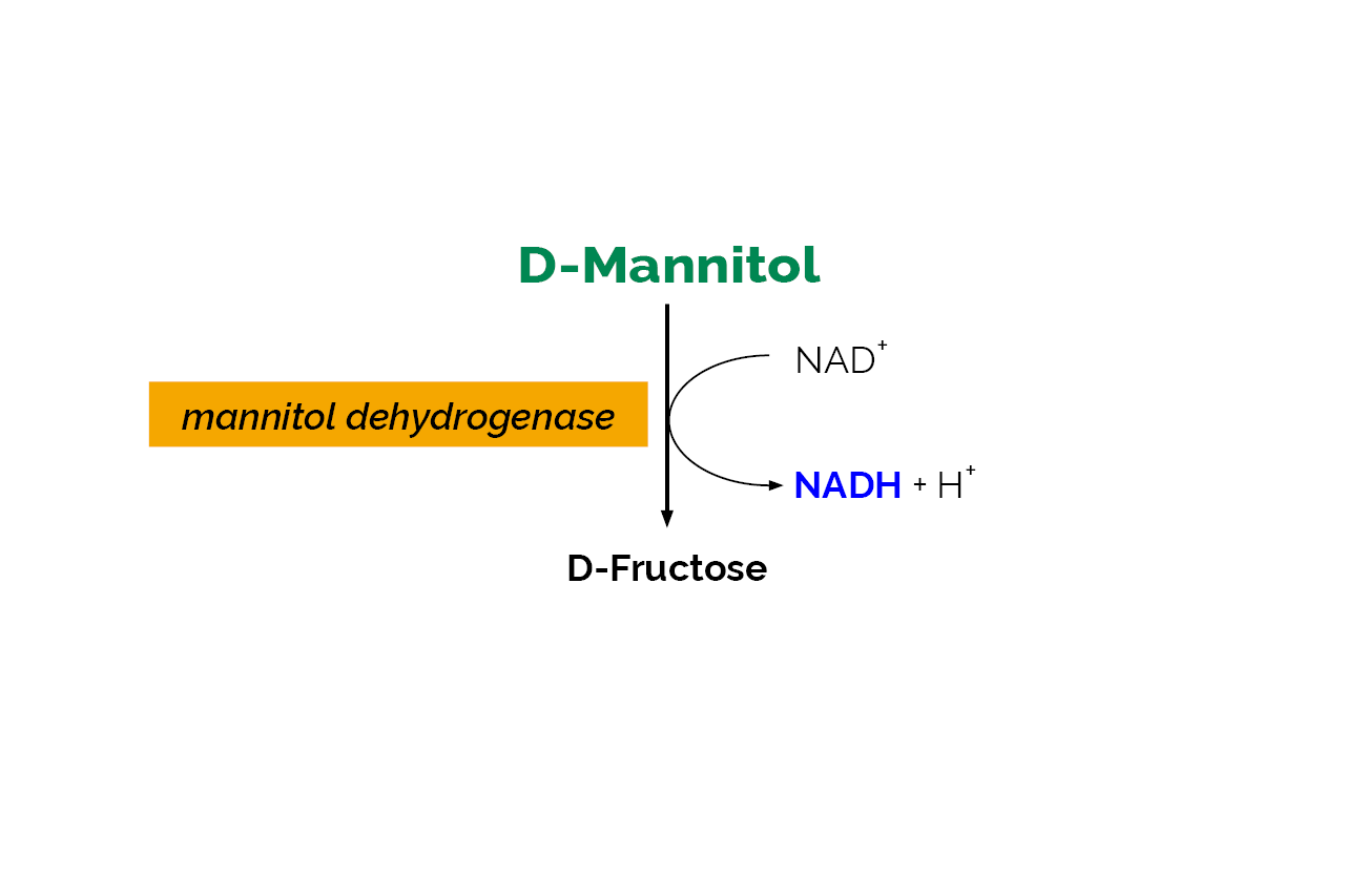 D-Mannitol Assay Kit (K-MANOL) Scheme