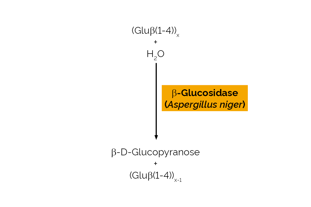 Beta-Glucosidase (Aspergillus sp.) (E-BGLUC) Scheme