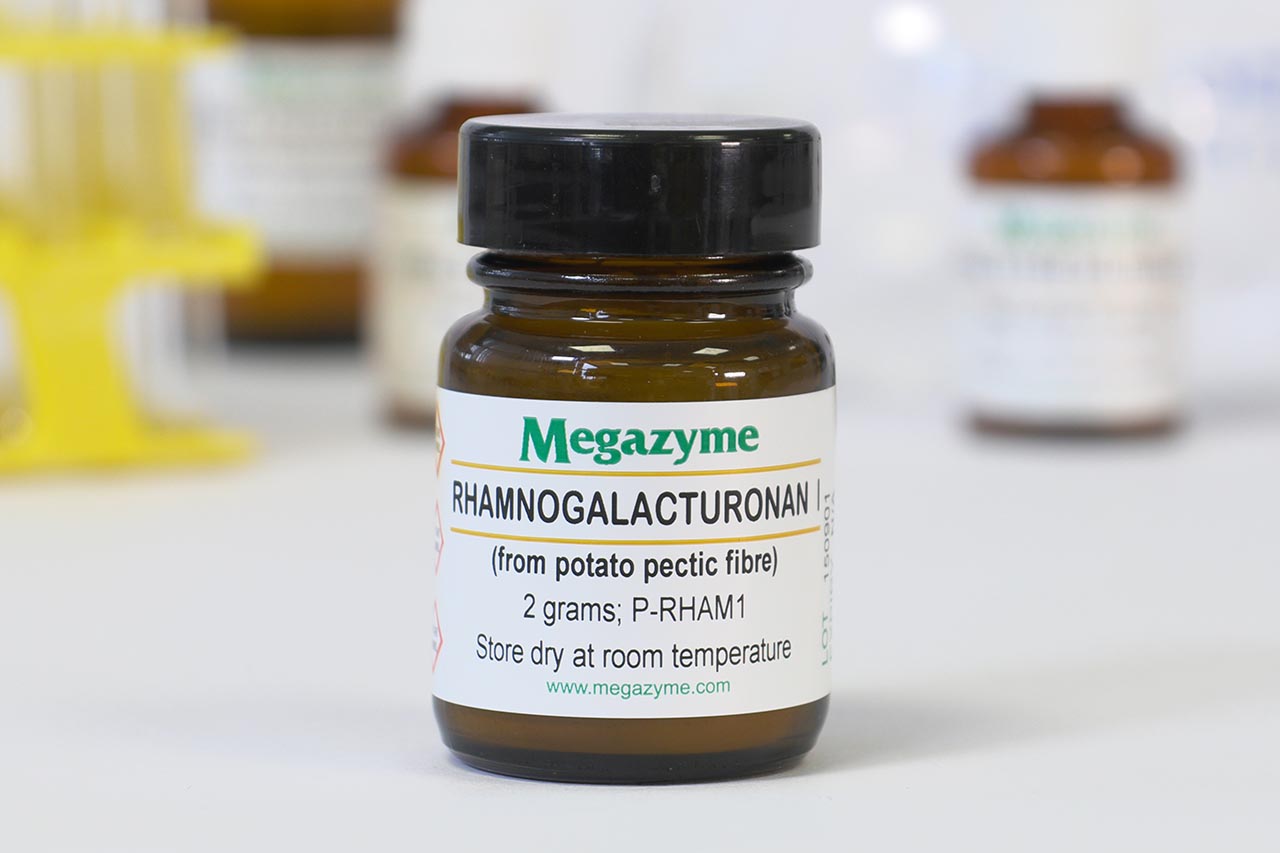 Rhamnogalacturonan I (Potato) (P-RHAM1)