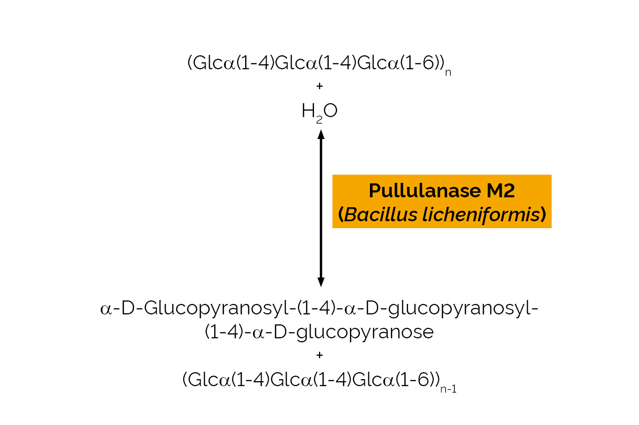 Pullulanase M2 (Bacillus licheniformis) (E-PULBL) Scheme Pullulanase M2 (Bacillus licheniformis) (E-PULBL) Scheme