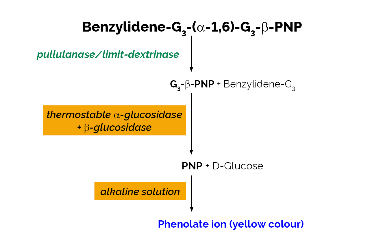 Pullulanase/Limit-Dextrinase Assay Kit (PullG6 Method) (K-PullG6) Scheme