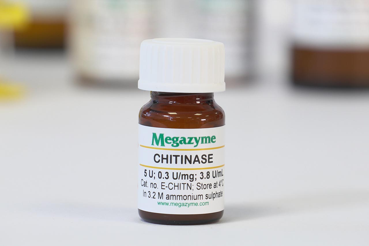 Chitinase (Clostridium thermocellum) (E-CHITN)