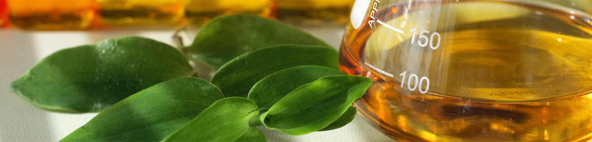 Biofuel-in-flask-with-leaves