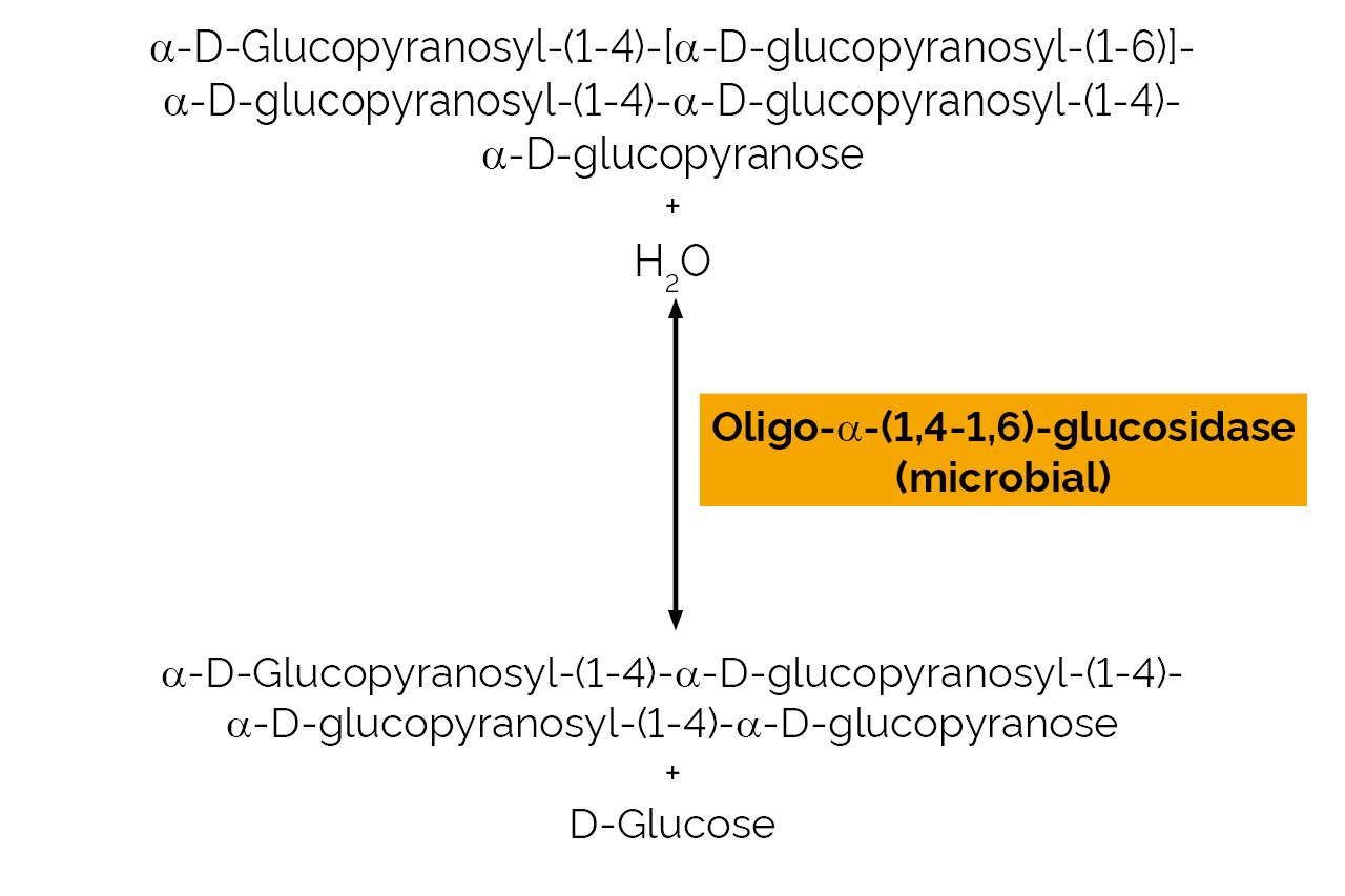 Oligo-alpha-1,6-Glucosidase (microbial) (E-OAGUM) Scheme Oligo-alpha-1,6-Glucosidase (microbial) (E-OAGUM) Scheme