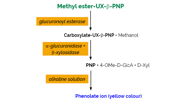 Scheme-K-GEUX3 GEUX3 Megazyme