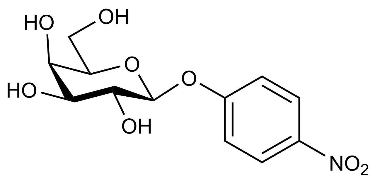 4-Nitrophenyl-beta-D-galactopyranoside (O-PNPBGAL)