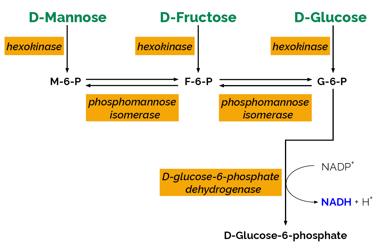 D-Mannose/D-Fructose/D-Glucose Assay kit (K-MANGL) Scheme D-Mannose/D-Fructose/D-Glucose Assay kit (K-MANGL) Scheme