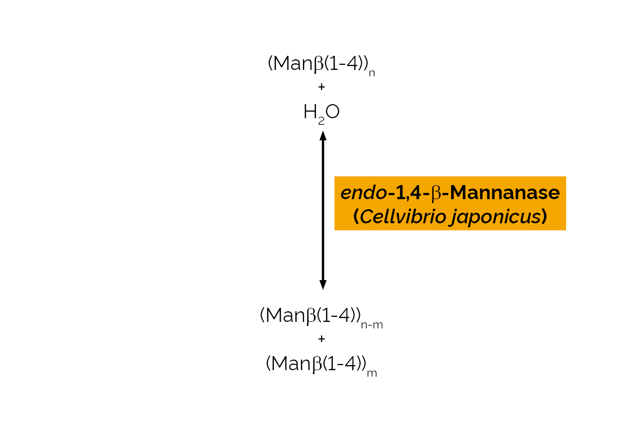 endo-1,4 beta-Mannanase (Cellvibrio japonicus) (E-BMACJ) Scheme endo-1,4 beta-Mannanase (Cellvibrio japonicus) (E-BMACJ) Scheme
