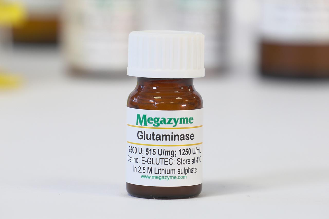 Glutaminase (Escherichia coli) (E-GLUTEC)