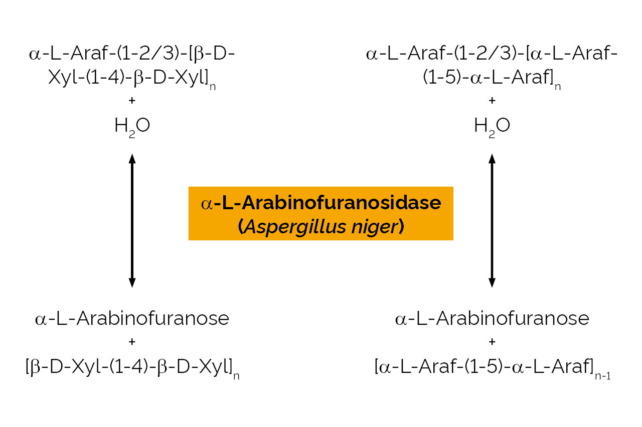 Alpha-L-Arabinofuranosidase (Aspergillus niger) (E-AFASE) Scheme