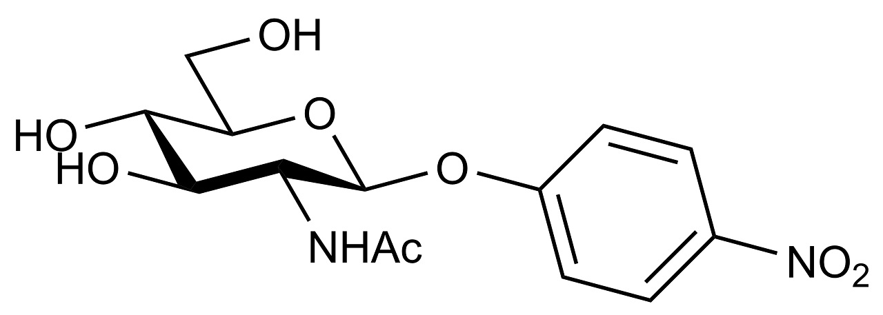 4-Nitrophenyl-beta-N-acetyl-D-glucosaminide (O-PNPNAG)