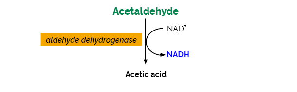 Scheme-K-ACHYD K-ACHYD Megazyme