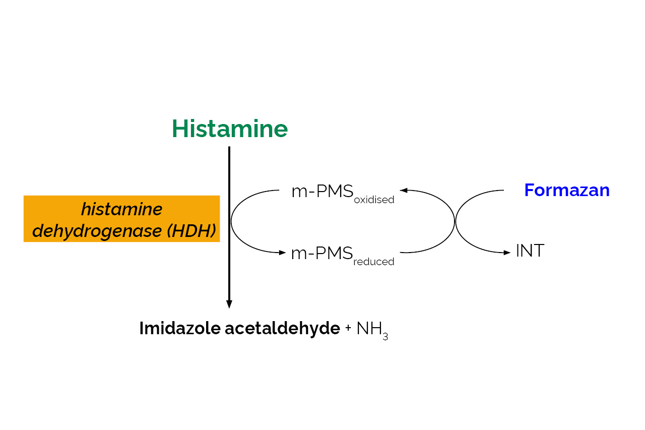 Histamine Assay Kit (K-HISTA) Scheme