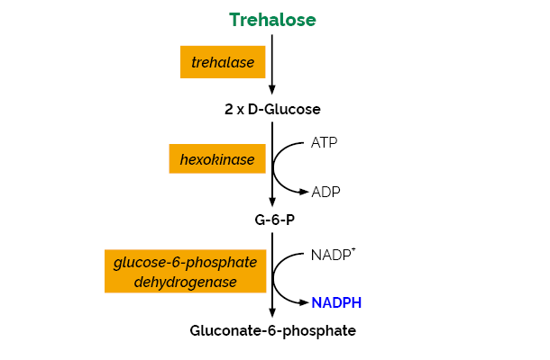 Scheme-K-TREH TREH Megazyme