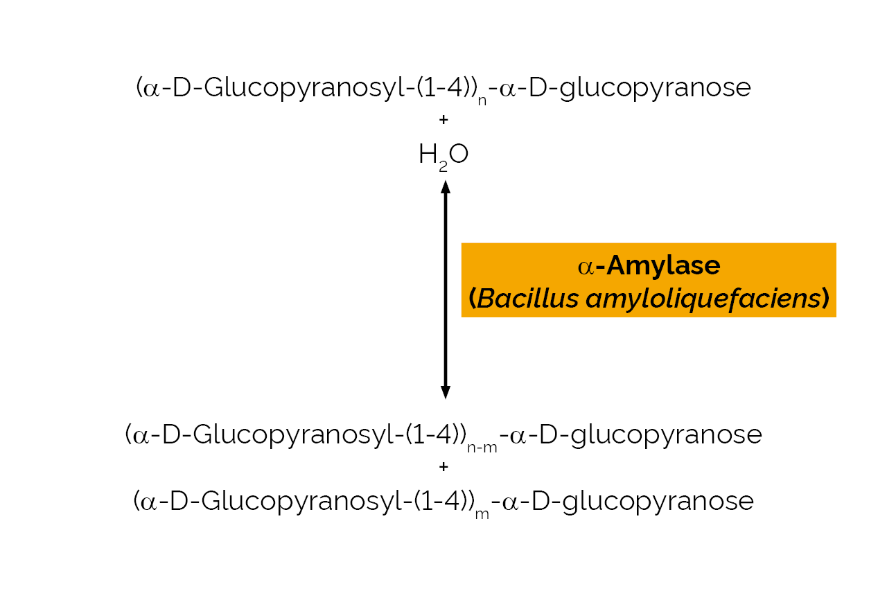 Alpha-Amylase (Bacillus amyloliquefaciens) (E-BAASS) Scheme Alpha-Amylase (Bacillus amyloliquefaciens) (E-BAASS) Scheme