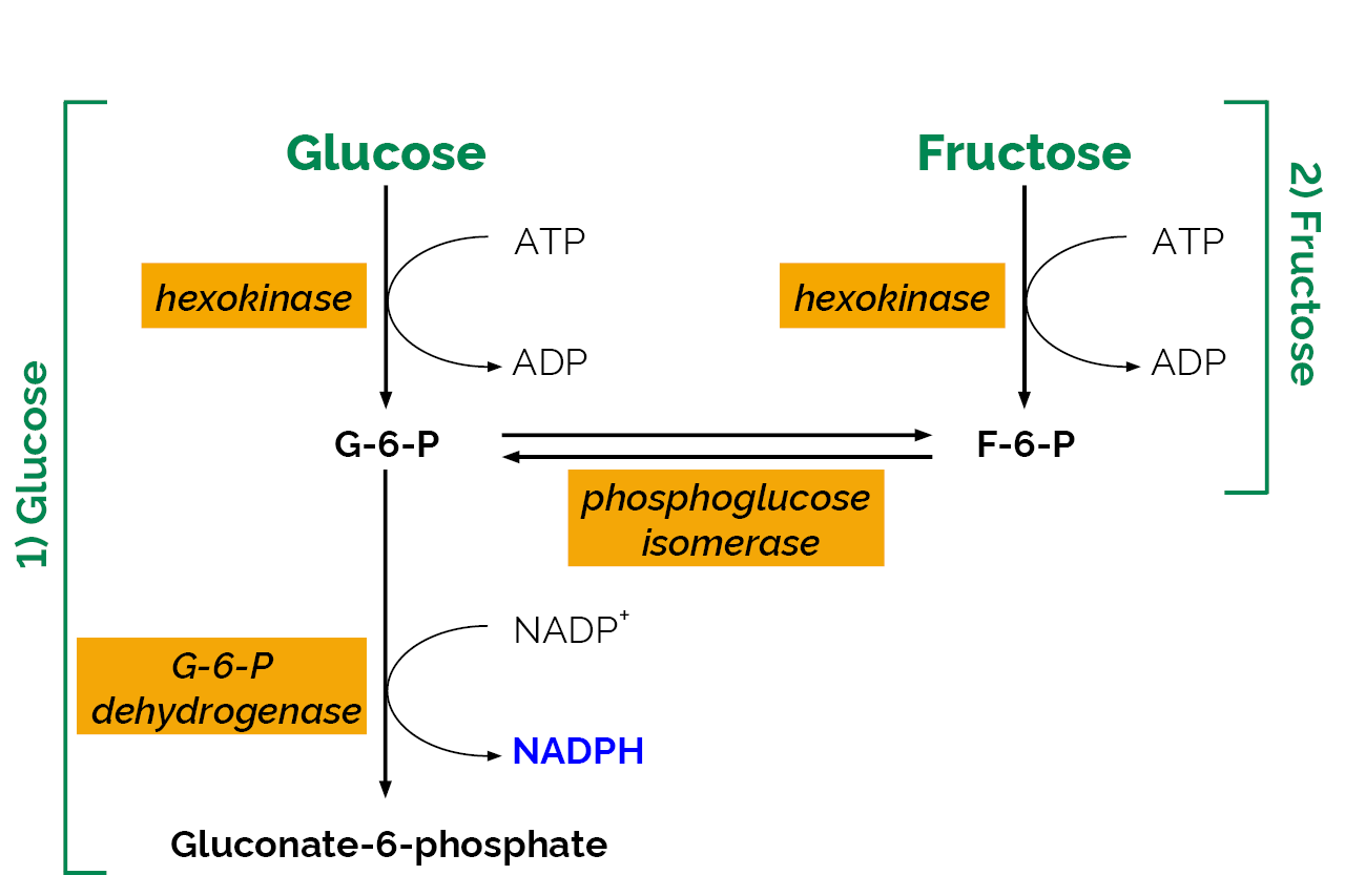 D-Fructose/D-Glucose Assay Kit (Liquid Ready) (K-FRGLQR) Scheme