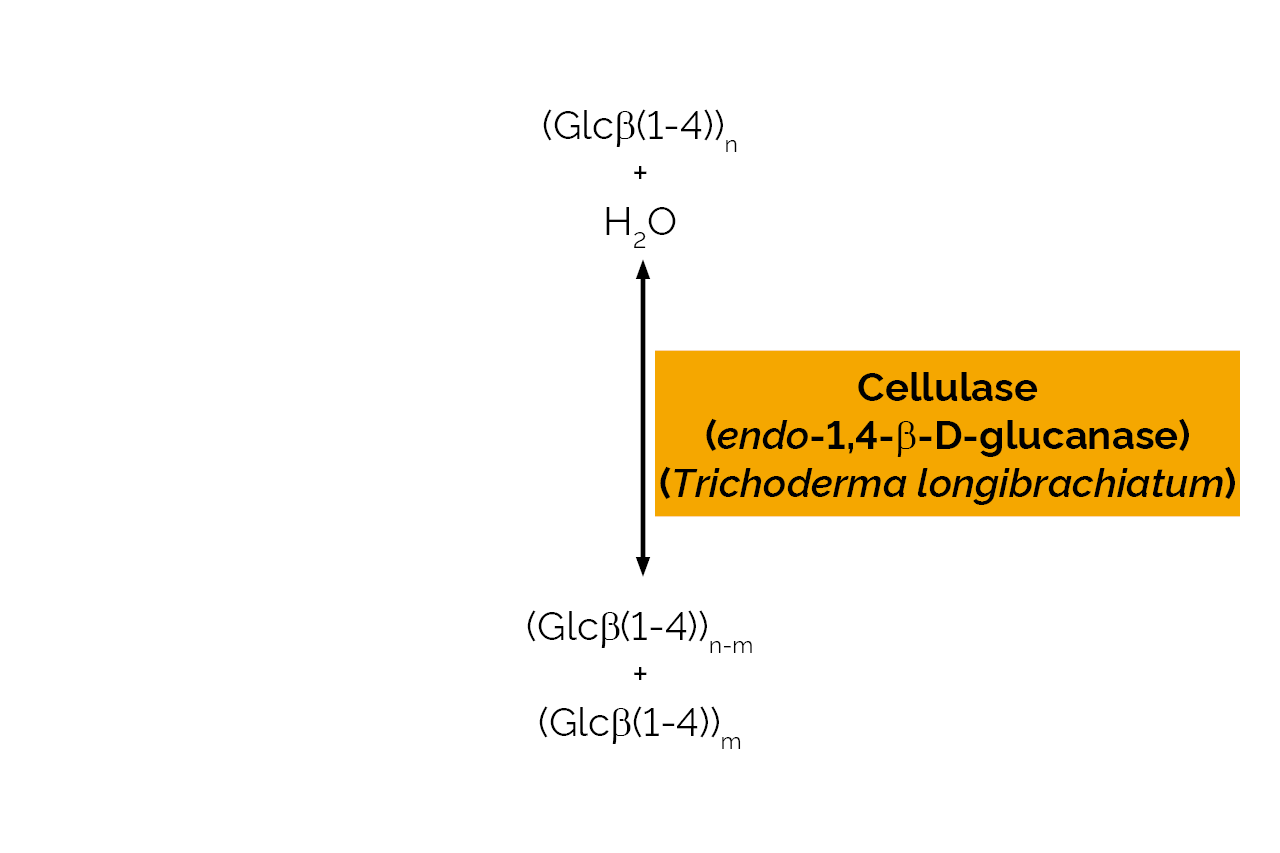 Cellulase (endo-1,4-beta-D-glucanase) (Trichoderma longibrachiatum) (E-CELTR) Scheme