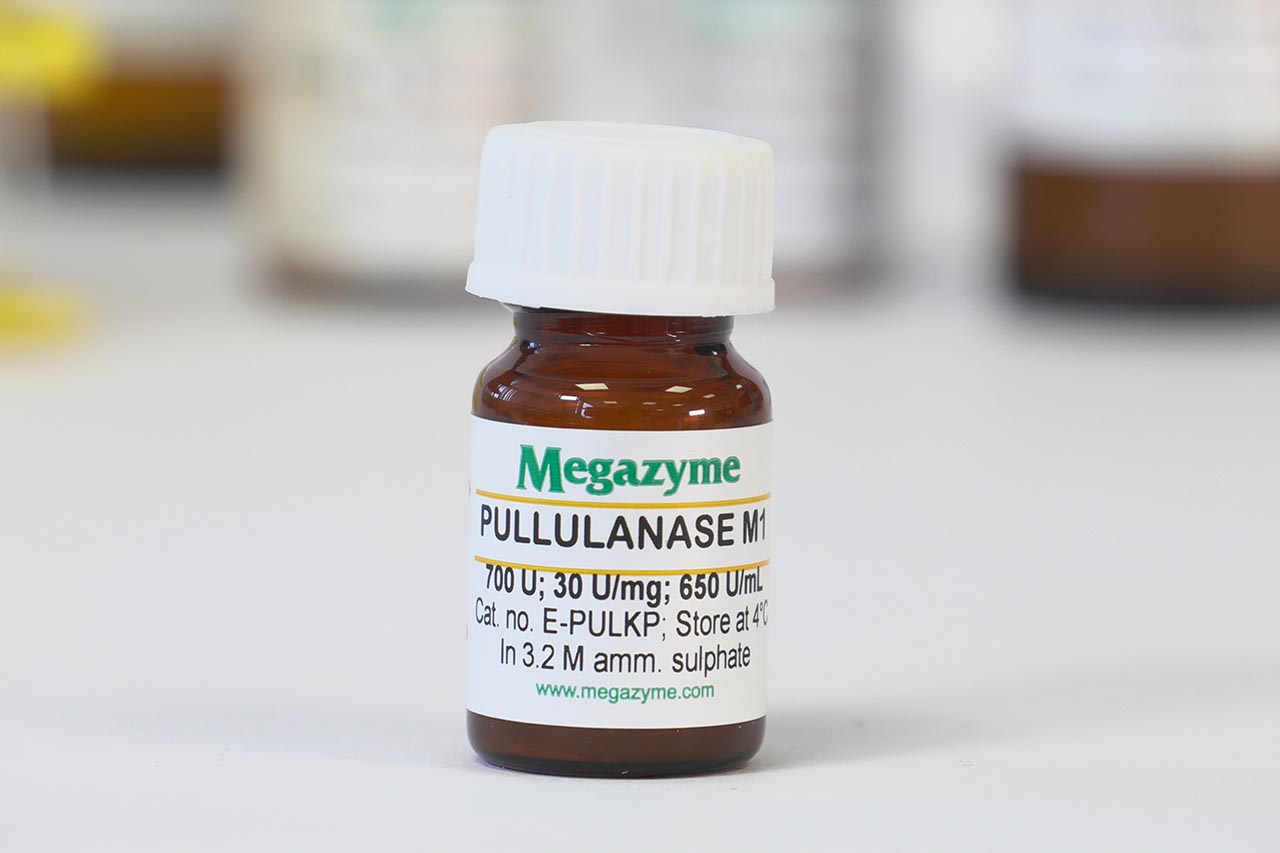 Pullulanase M1 (Klebsiella planticola) (E-PULKP) Pullulanase M1 (Klebsiella planticola) (E-PULKP)