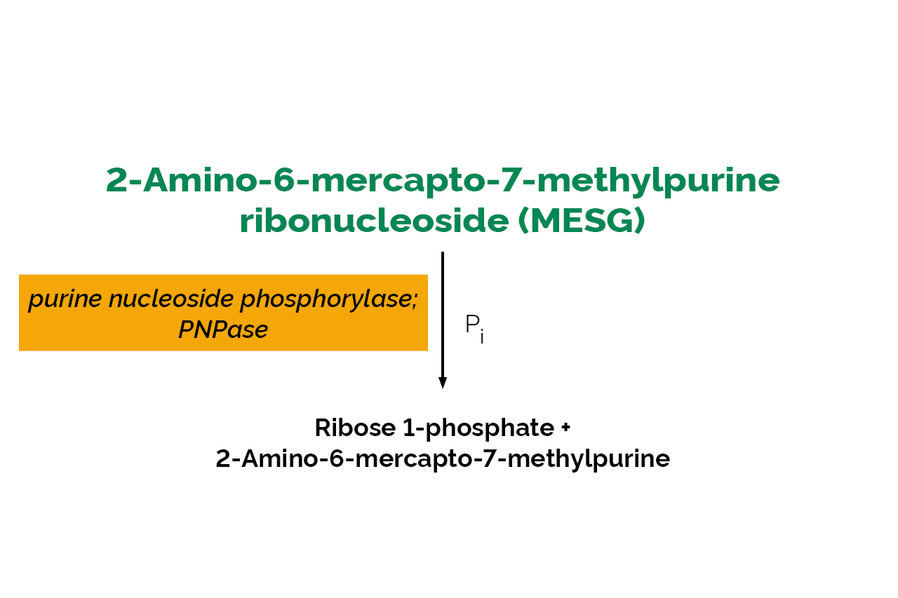 Phosphate Assay Kit (K-PHOS) Scheme Phosphate Assay Kit (K-PHOS) Scheme