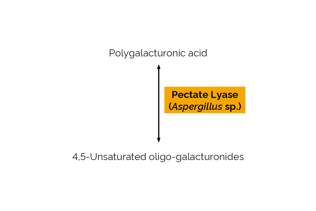 Pectate Lyase (Aspergillus sp) (E-PCLYAN) Scheme Pectate Lyase (Aspergillus sp) (E-PCLYAN) Scheme