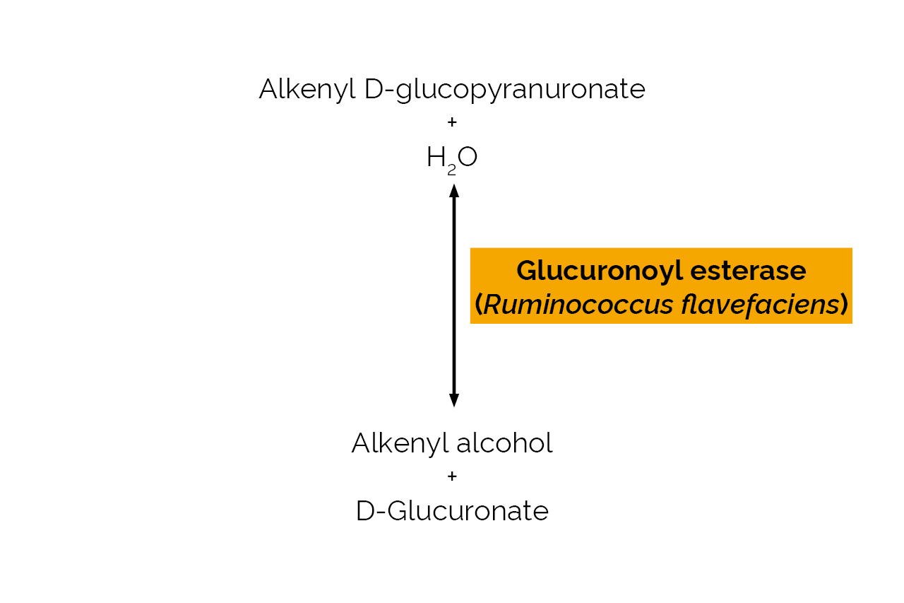 Glucuronoyl Esterase (Ruminococcus flavefaciens) (E-GERF) Scheme