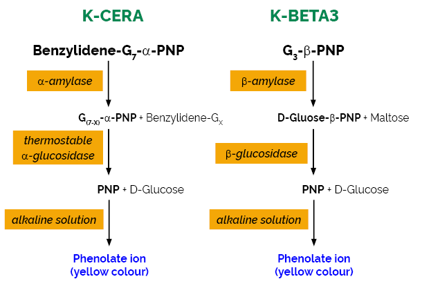scheme-K-MALTA MALTA MEgazyme