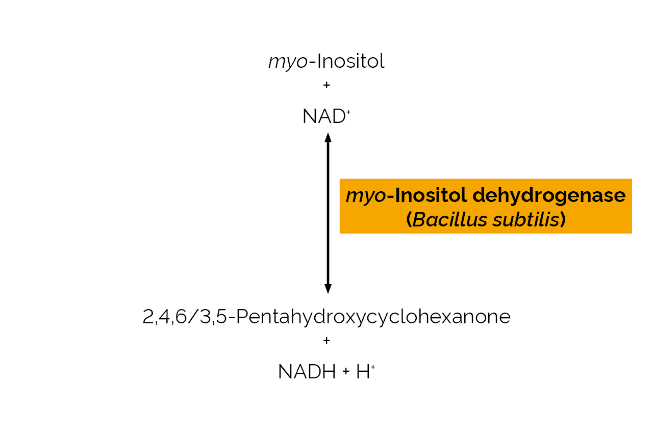 myo-Inositol dehydrogenase (Bacillus subtilis) (E-INDHBS) Scheme