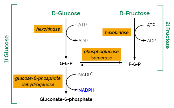 Scheme-K-FRGLQR FRGLQR Megazyme