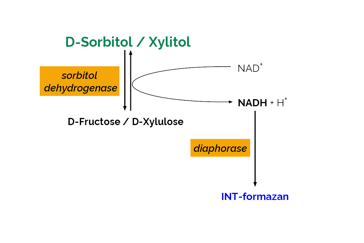 D-Sorbitol/Xylitol Assay Kit (K-SORB) Scheme